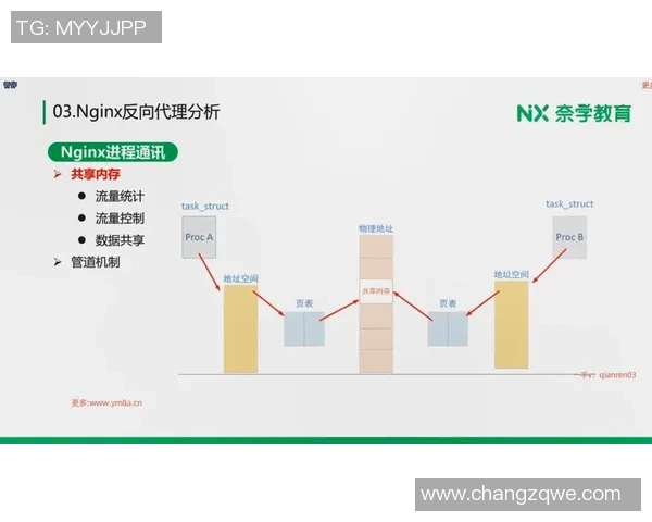 深入探讨上海篮球队战术表现的数据分析与战绩影响因素 深入探讨上海篮球队战术表现的数据分析与战绩影响因素